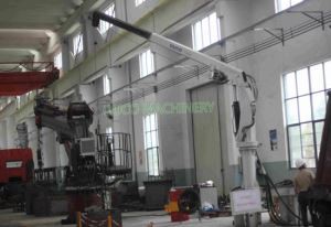 1T6M Yacht løfte Marine kran